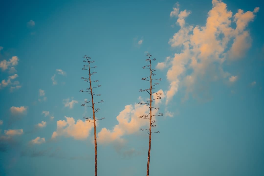 热火朝天腊八粥，福分满满泉州城 （视频）